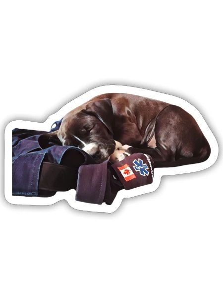 Paramedic Puppy - Sticker - white matte - Front