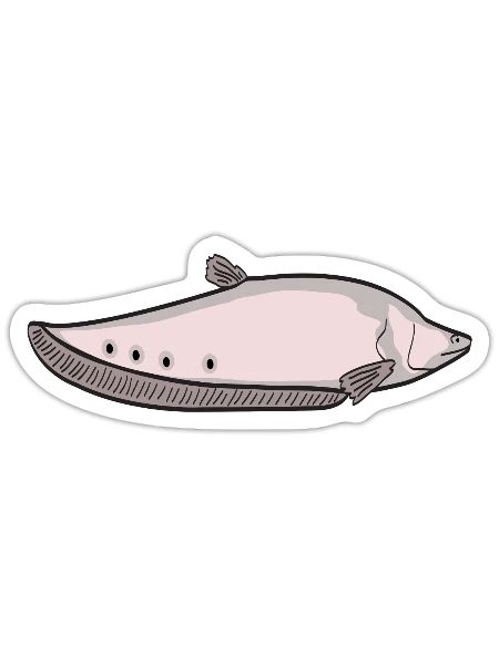 BLADE FISH BELIDA - Sticker - white matte - Front