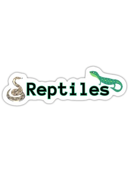 Reptiles - Sticker - white matte - Front
