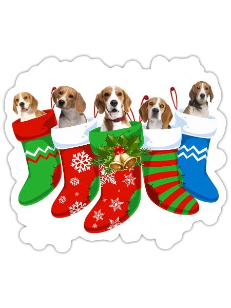 Beagle Beagle Dog Socks - Sticker - white matte - Front