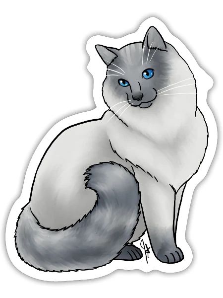 Cat Balinese Blue - Sticker - white matte - Front