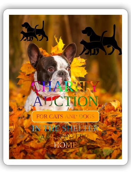 CHARITY AUTCTION FOR CATS AND DOGS IN THE SHELTER - Sticker - white matte - Front