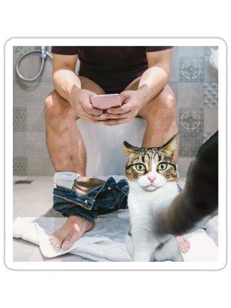 Cat Selfie in Bathroom - Sticker - white matte - Front