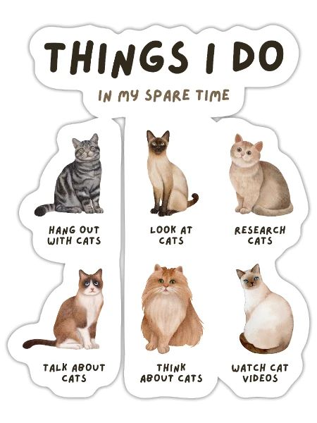 Space Time Cats - Sticker - white matte - Front