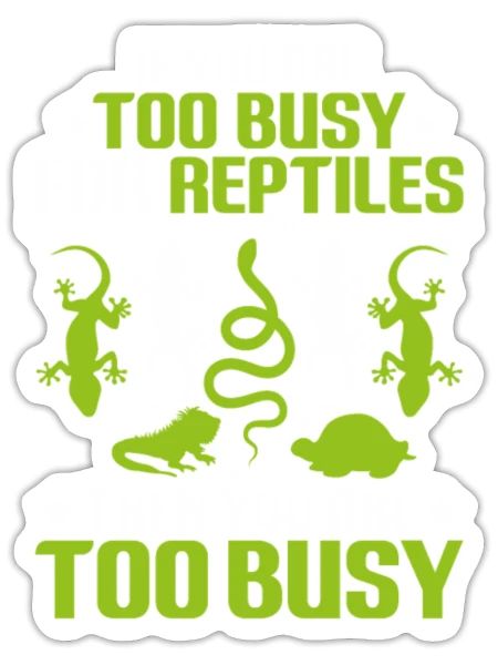 Reptile Snakes Reptiles Lizard Iguana Pet - Sticker - white matte - Front