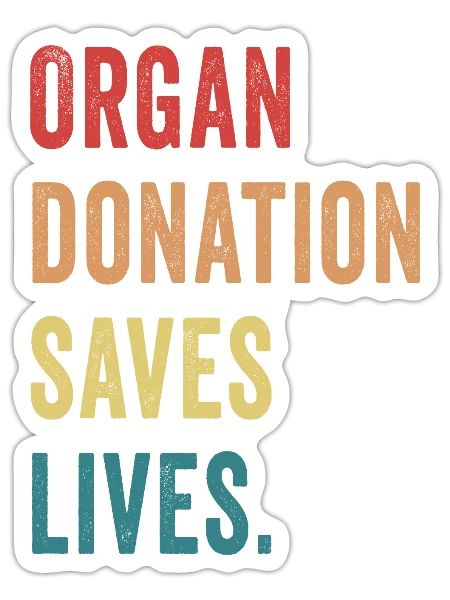 Organ Donation Saves Lives Organ Donor Awareness - Sticker - white matte - Front