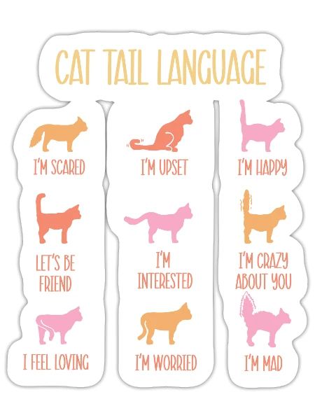 Cat Tail Language - Sticker - white matte - Front
