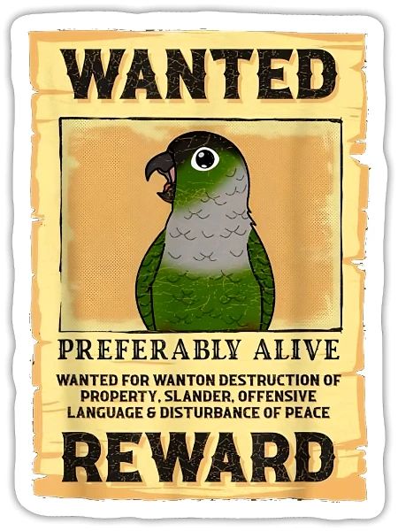 Green Cheek Conure - Sticker - white matte - Front