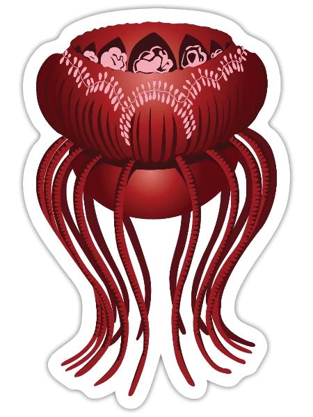 Jelly Fish - Sticker - white matte - Front