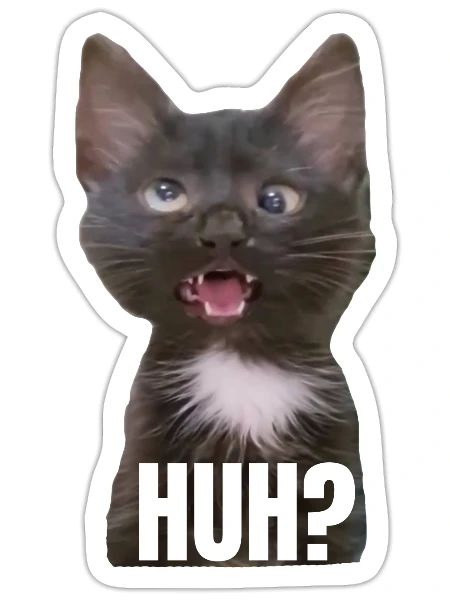 Funny Cross Eyed Cat Meme Huh Funny Cat - Sticker - white matte - Front