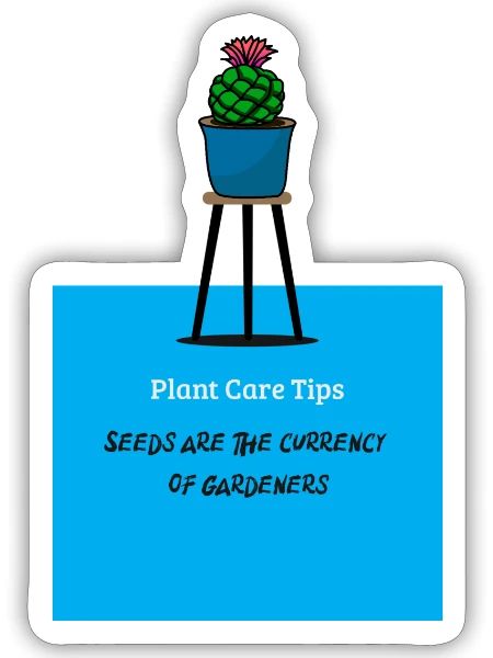 Seeds are the currency of gardeners!!! - Sticker - white matte - Front