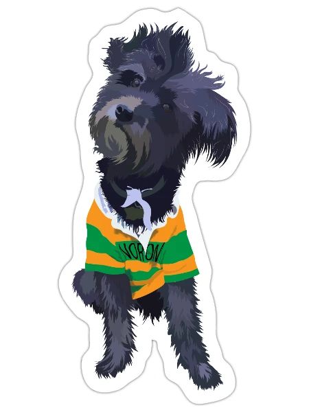 schnauzer black dog - Sticker - white matte - Front