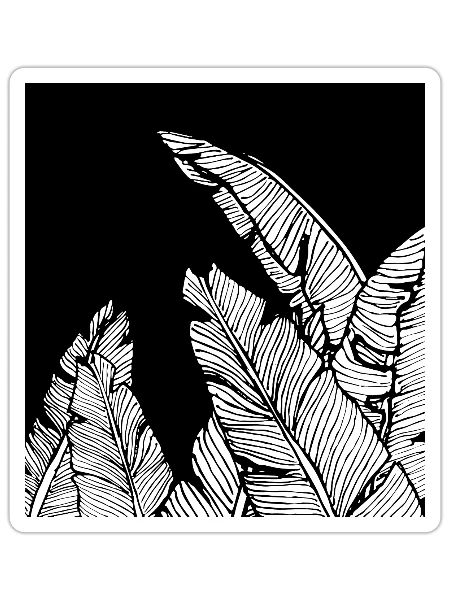 Banana leaves - Sticker - white matte - Front