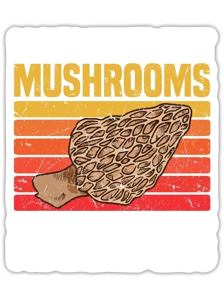 Mushroom Picker Sayings | Mushroom Picking - Sticker - white matte - Front