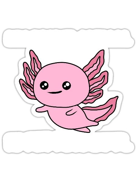 Axolotl pet, pink, salamanders, aquariums - Sticker - white matte - Front
