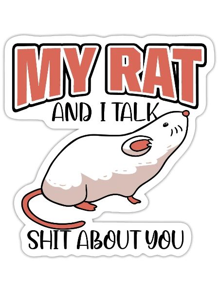 Rat Rodent Rat Lovers Mouse Pet - Sticker - white matte - Front