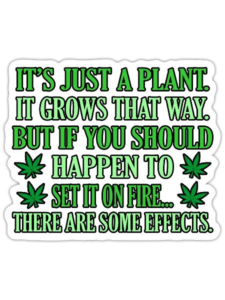 Cannabis - Sticker - white matte - Front