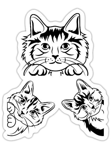 Cut cat faces - Sticker - white matte - Front