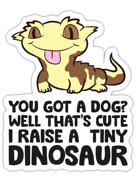 Crested Gecko Owner Crested Gecko Pet Crested - Sticker - white matte - Front