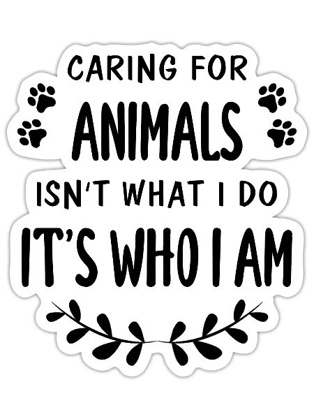 Care for animals animal welfare zookeeper - Sticker - white matte - Front