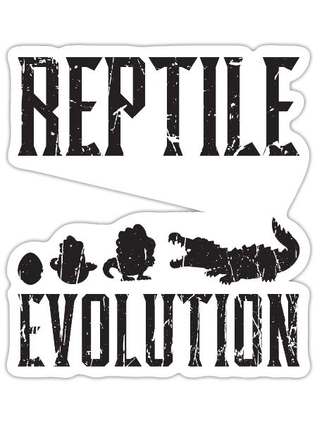 Reptile Evolution - Reptile - Sticker - white matte - Front