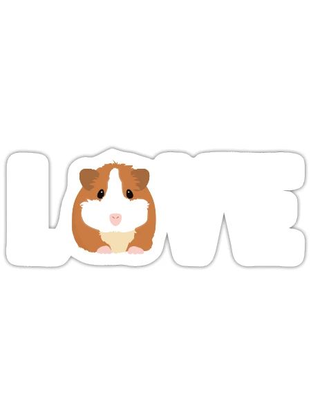 Love Long Hair American Crested Cavy Caviidae - Sticker - white matte - Front