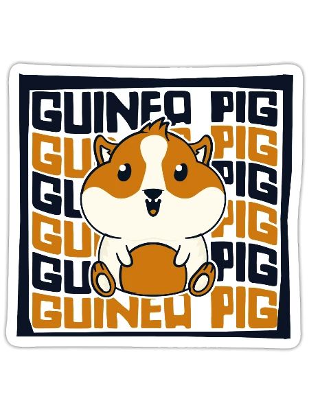 Cavy Caviidae Long Hair American Crested Guinea - Sticker - white matte - Front