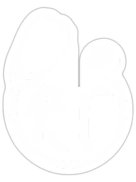 Reratory Therapist Rt Stethoscope Pocket - Sticker - white matte - Front