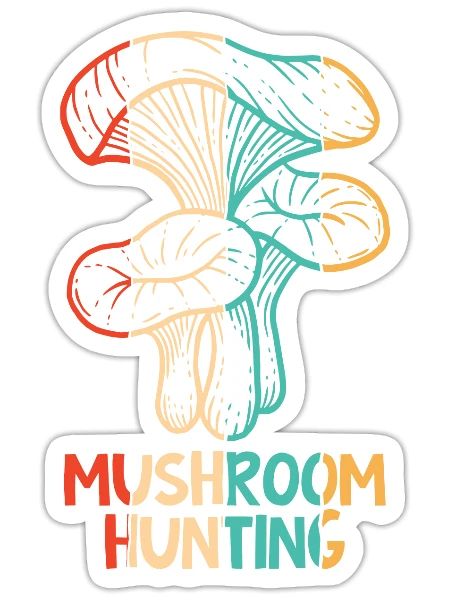 Retro Identification Picking Foraging Mushroom - Sticker - white matte - Front