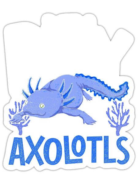 Only a boy who loves axolotl salamander axolotl - Sticker - white matte - Front
