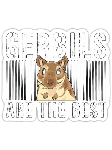 Gerbils Are The Best Racing Rat Rodent Mouse Lover - Sticker - white matte - Front
