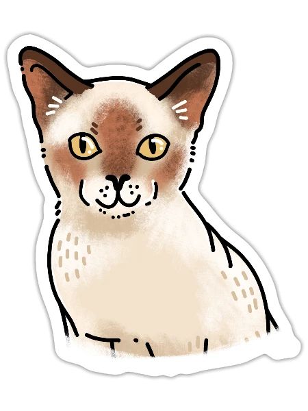Cure smiling Burmese Cat face - Sticker - white matte - Front