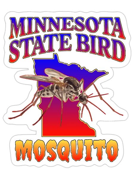 Minnesota State Bird - Sticker - white matte - Front