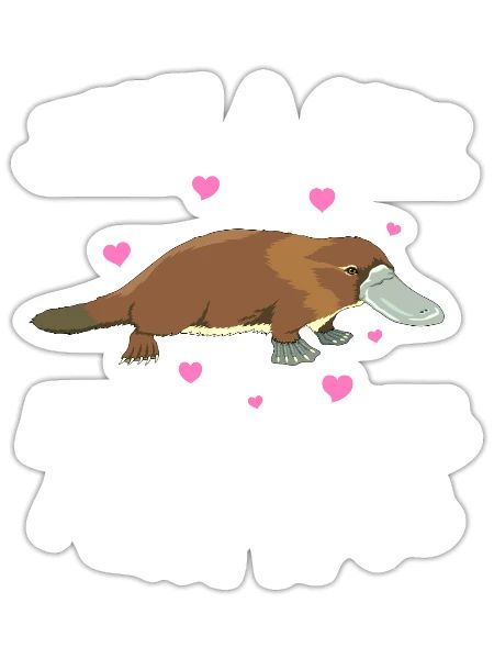Just a girl who loves platypus funny Platypus - Sticker - white matte - Front