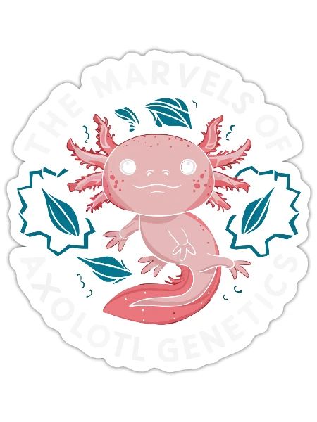 Axolotl Science Teacher Mexican Salamander - Sticker - white matte - Front