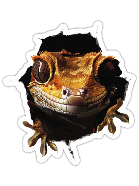 Crested Gecko - Sticker - white matte - Front