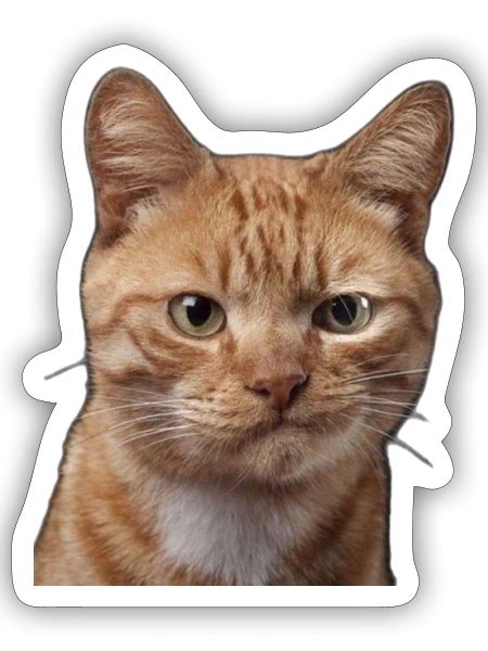 Ginger Cat Face Illustration - Sticker - white matte - Front