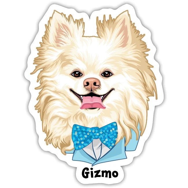 Gizmo