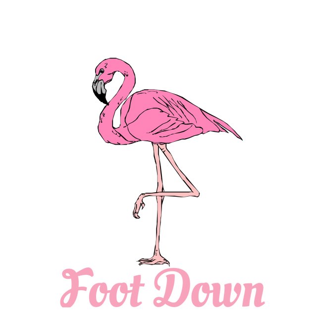 Funny Pink Flamingo Don't Make Me Put My Foot Down