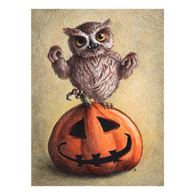 Funny Halloween Owl