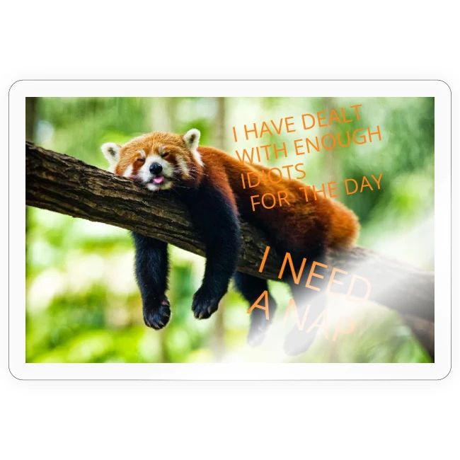 Fox napping meme