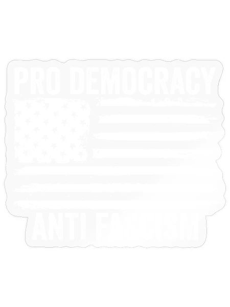 Pro Democracy Anti Fascism - Sticker - transparent glossy - Front