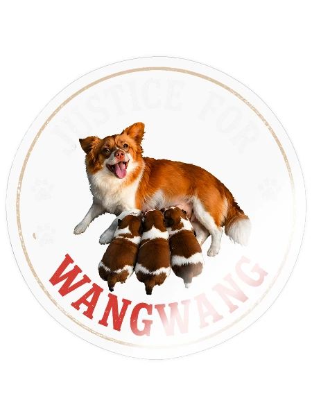Justice For Wangwang Dog - Sticker - transparent glossy - Front
