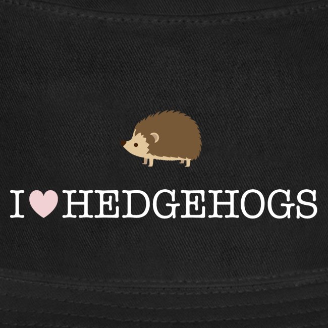 I Love Hedgehogs with Hedgehog Illustration