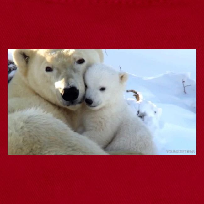 polarbearhug