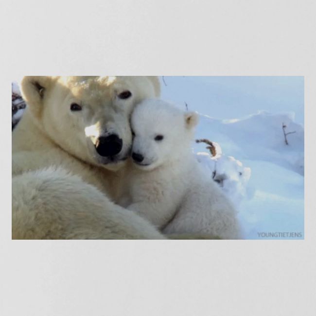 polarbearhug