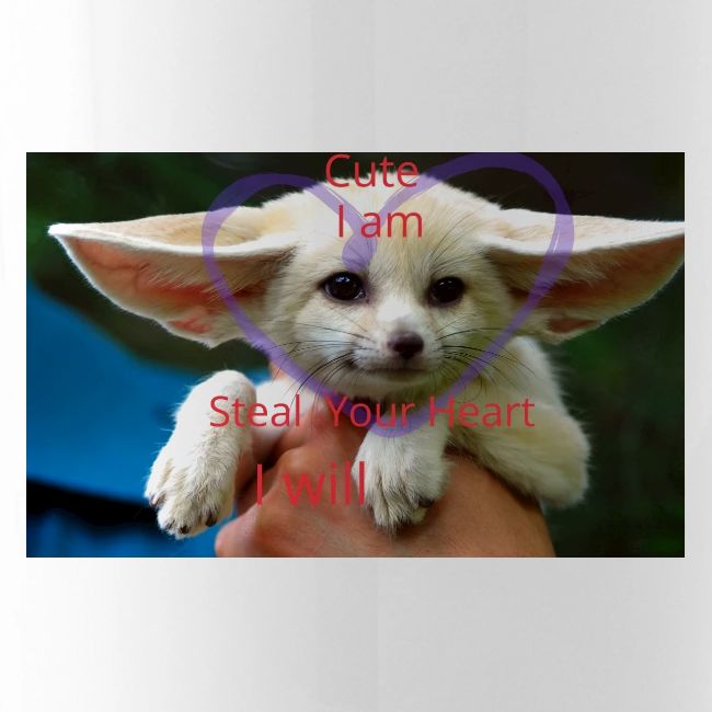 baby fox