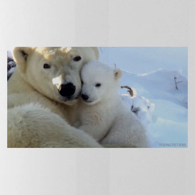polarbearhug