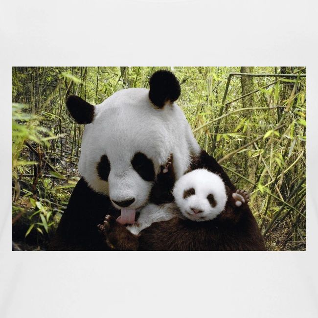 panda