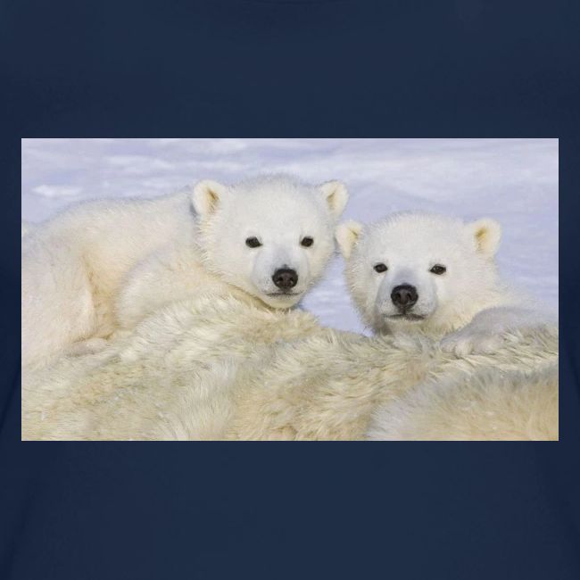polarbears